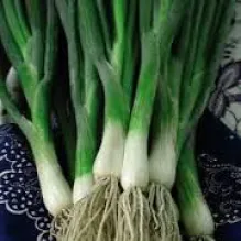 VERDURAS ALVES