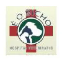 HOSPITAL VETERINARIO E O BICHO