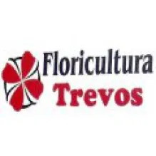 FLORICULTURA TREVOS