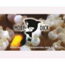 MOBY DICK