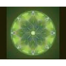 ELIANE DOS SANTOS ROSA