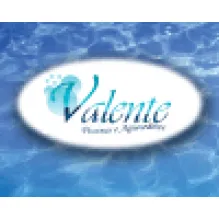 VALENTE PISCINAS E AQUECEDORES