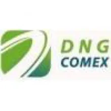 DNG COMEX LTDA
