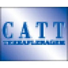CATT CONSTRUÇÃO ALUGUEL TRANSPORTE E TERRAPLENAGEM