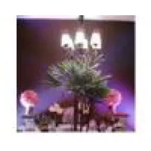 CINTHIA DECORAÇÕES