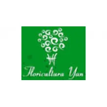 FLORICULTURA YAN E CESTARIA