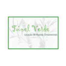 FLORICULTURA TÚNEL VERDE