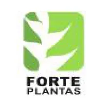 FORT PLANTAS