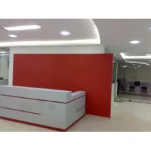 PINTURAS E GESSO SA
