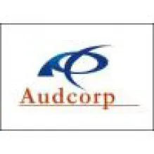 AUDCORP AUDITORIA E ASSESSORIA