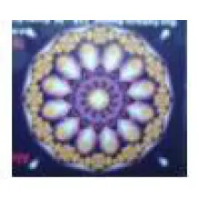 ALEXANDRA VENDRAMINI - CRP 67615