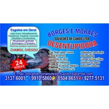 DESENTUPIDORA BORGES E MORAES